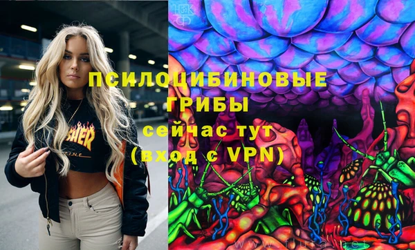 бутират Белокуриха