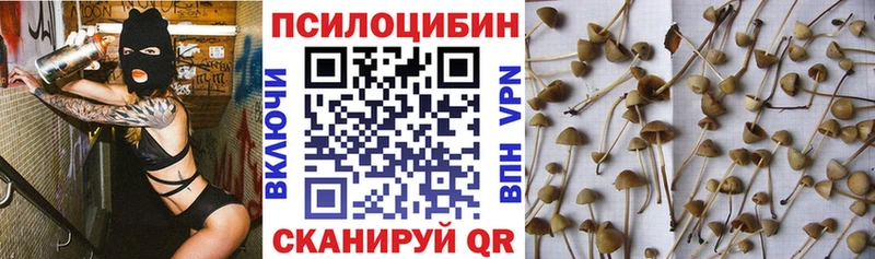 Псилоцибиновые грибы GOLDEN TEACHER  цены   Ворсма 
